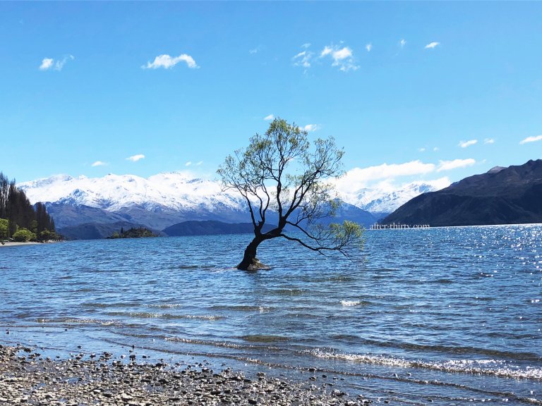 紐西蘭【瓦納卡】絕不能錯過的瓦納卡湖，瓦納卡孤獨的樹 Lake Wanaka, That Wanaka Tree