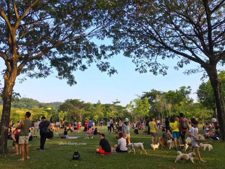 带狗狗一起去运动的公园-吉隆坡Desa Park City Dog Park