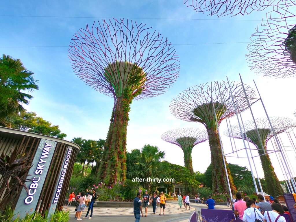 新加坡濱海灣花園