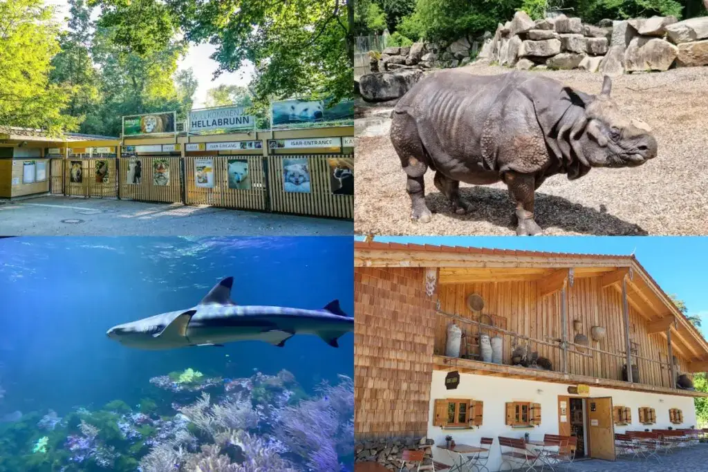 慕尼黑景點-海拉布倫動物園-Hellabrunn-Zoo