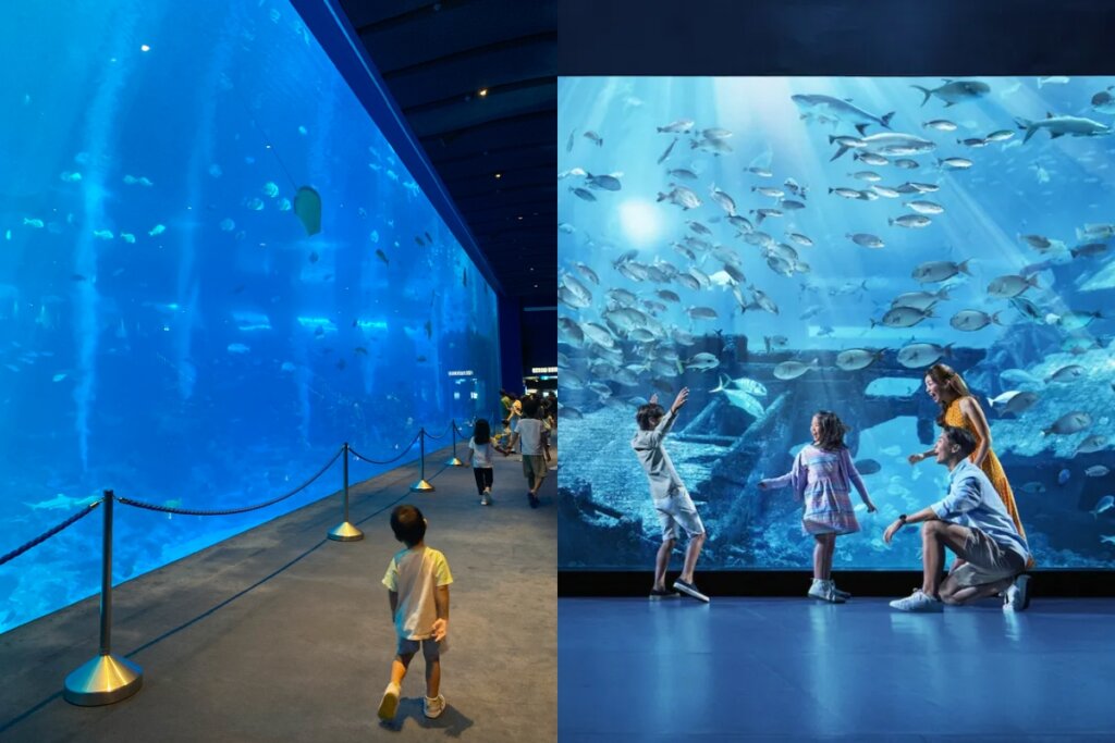 新加坡SEA海洋館