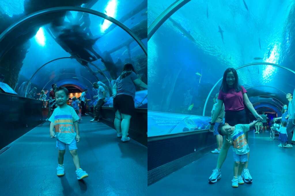 新加坡SEA海洋館