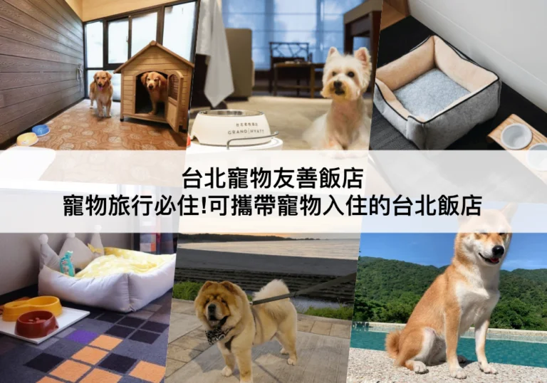 台北寵物友善飯店推薦【2024】可攜帶寵物入住TOP9台北寵物飯店