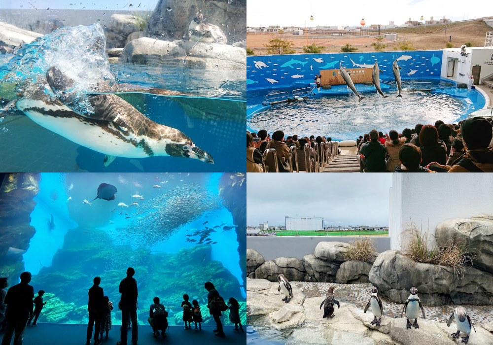 仙台海洋森林水族館