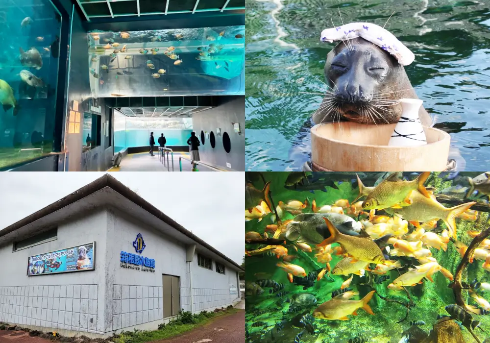 箱根園水族館 Hakone-en Aquarium
