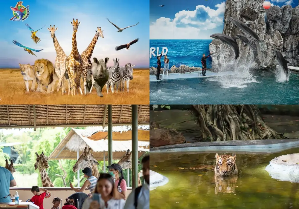 曼谷親子景點 泰國野生動物園
