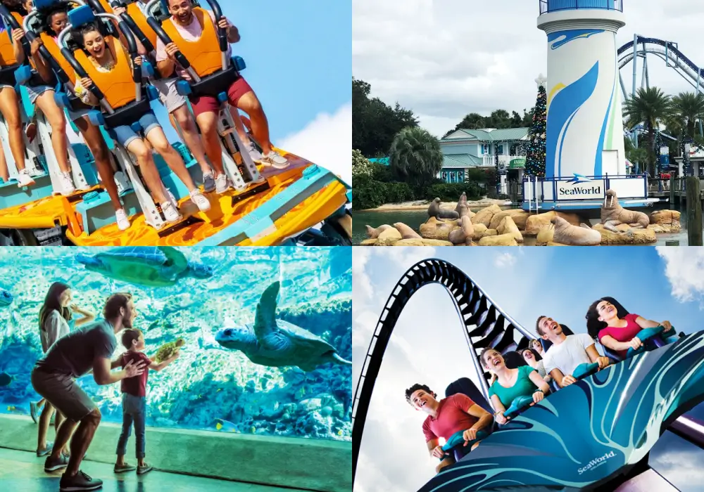 美國主題樂園 奧蘭多海洋世界 SeaWorld Orlando 