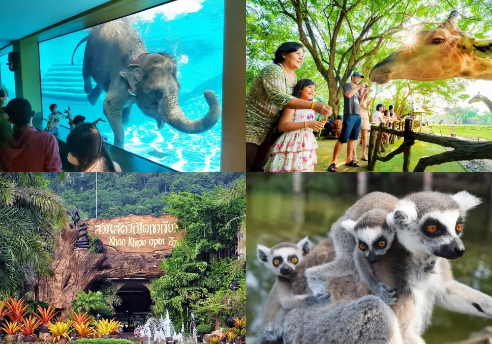 綠山野生國家動物園 Khao Kheow Open Zoo