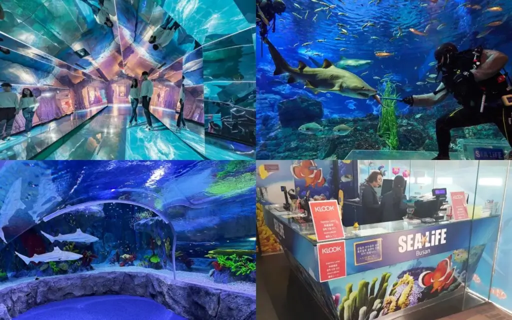 SEA LIFE 釜山水族館