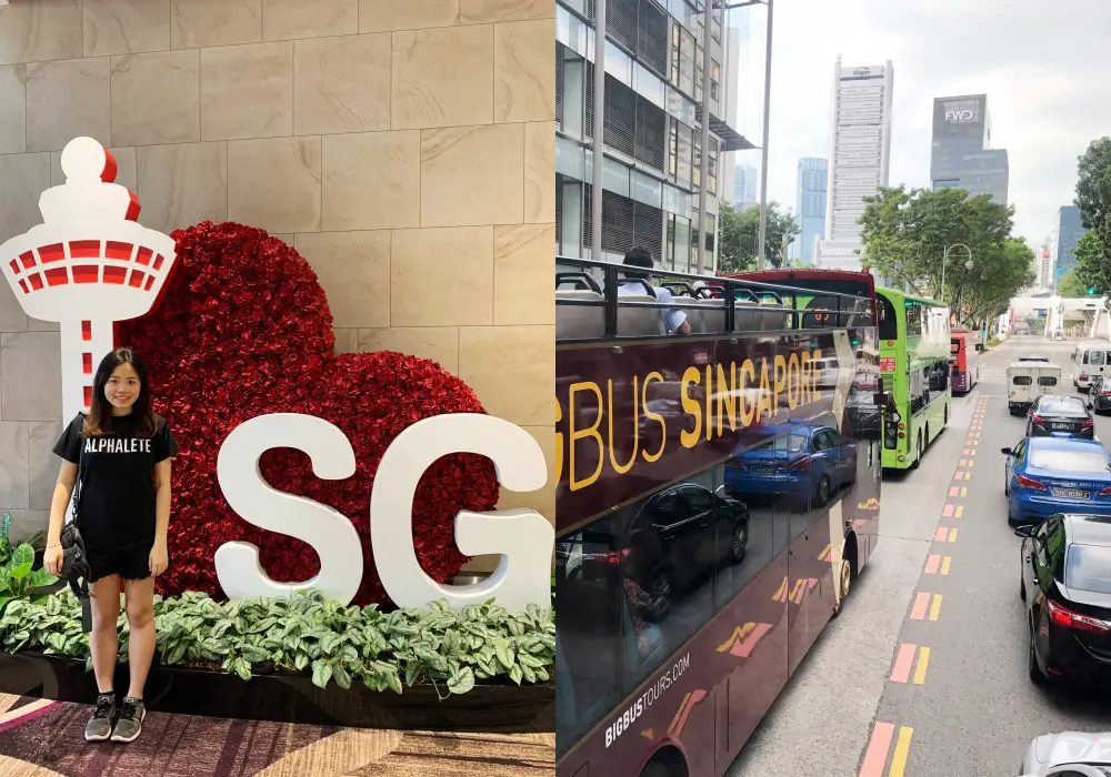 新加坡自由行交通
