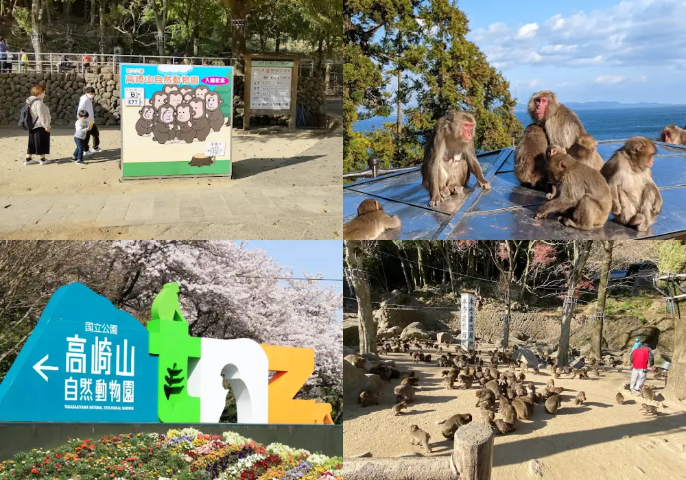 高崎山自然動物園