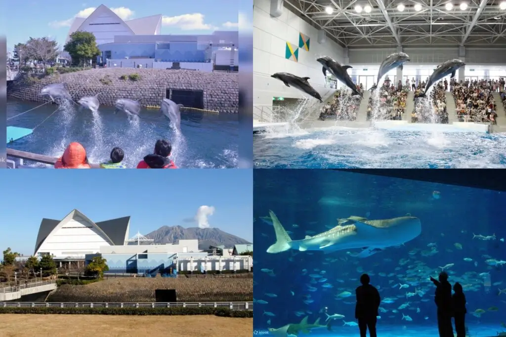 鹿兒島水族館 Kagoshima City Aquarium