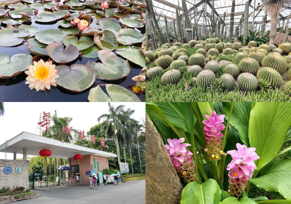 華南植物園